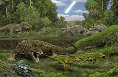 Loài[-]khủng[-]long[-]mới[-]được[-]đặt[-]tên[-]theo[-]tên[-]của[-]Tổng[-]thống[-]Mỹ[-]Barack[-]Obama